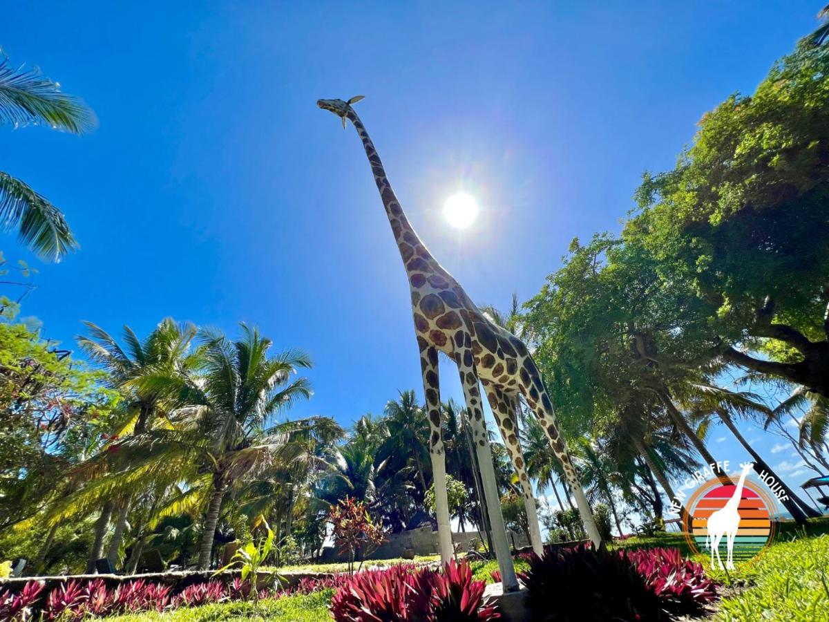 לינה וארוחת בוקר וילנקולוס New Giraffe House מראה חיצוני תמונה